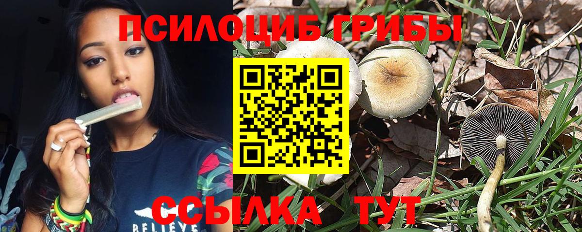 Псилоцибиновые грибы мицелий Добрянка