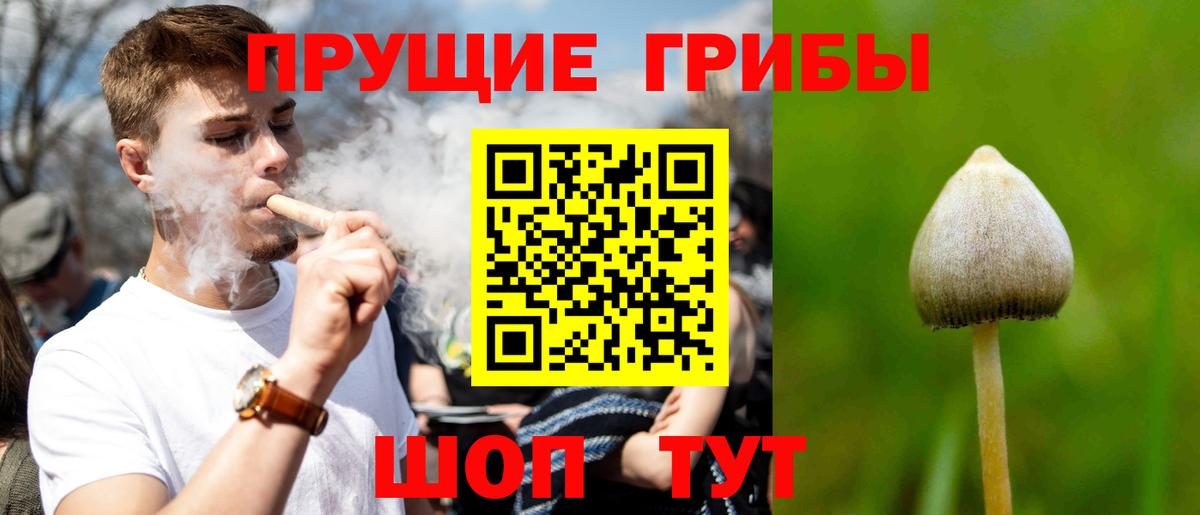 Добрянка  Псилоцибиновые грибы прущие грибы  Вход с VPN  Галлюциногенные грибы мухоморы 
